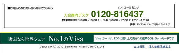 �O��Z�FVISA�J�[�h�����T�C�g���8