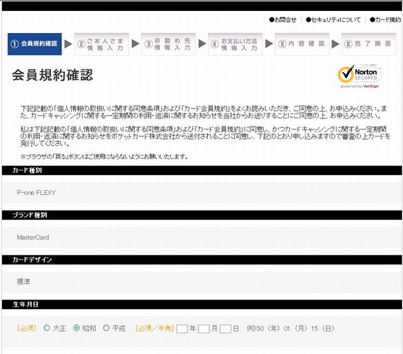 P-one FLEXY�\�����݉��1